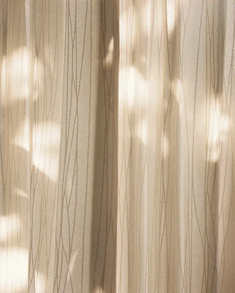 Morning light and leaf shadows on a sheer curtain.